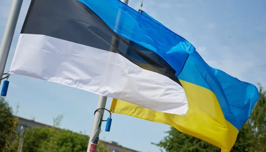 МЗС Естонії виділяє 340 тисяч євро на підготовку України до зими